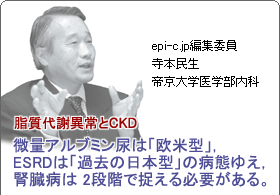 epi-c.jp編集委員　寺本民生　帝京大学医学部内科　脂質代謝異常とCKD