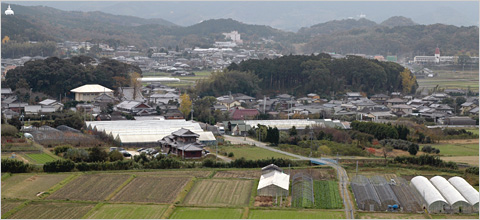 高台からのぞむ久山町の風景