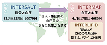 INTERMAP―INTERSALT相関図