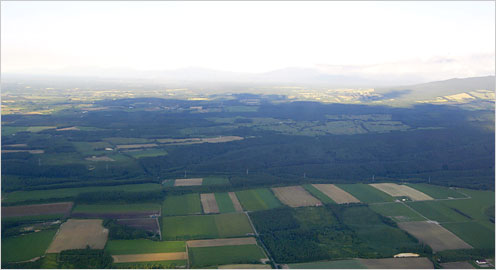 端野町周辺の風景。オホーツク海にほど近い。写真奥にかすんでみえるのは知床の山並